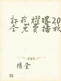 许我耀眼20集全免费播放