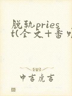 脱轨priest(全文+番外)免费阅读