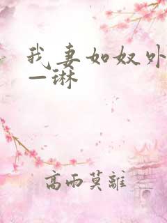 我妻如奴外传——琳