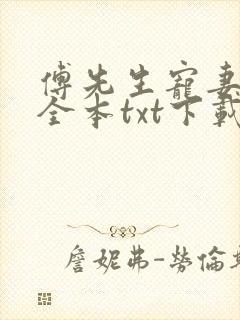 傅先生宠妻无度全本txt下载