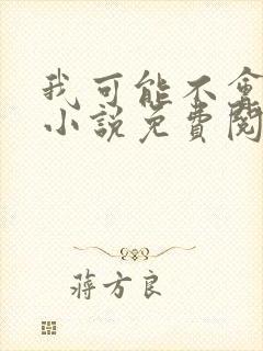 我可能不会爱你小说免费阅读