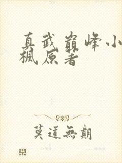 真武巅峰小说聂枫原著