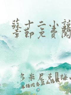 苏十二小说最新章节免费阅读全文