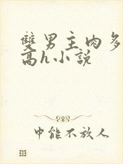 双男主肉多荤文高h小说