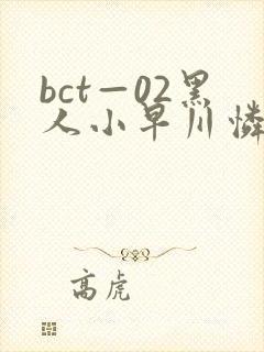 bct—02黑人小早川怜子编