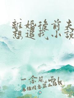 离婚后前夫总是想追我小说