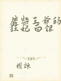 废柴王爷的神医狂妃 白银