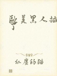 欧美黑人插进去了