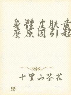 身体皮肤黄是什么原因引起的 女人