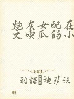 炮灰女配在年代文吃瓜的小说