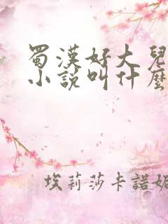 蜀汉好大儿原著小说叫什么名字