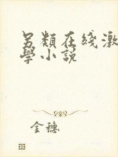 另类在线激情文学小说