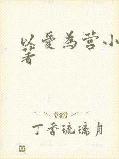 以爱为营小说原著