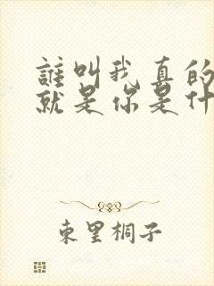 谁叫我真的爱的就是你是什么歌