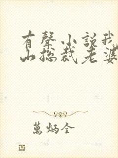 有声小说我的冰山总裁老婆