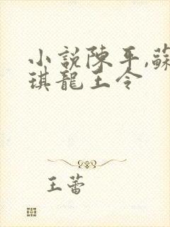 小说陈平,苏雨琪龙王令