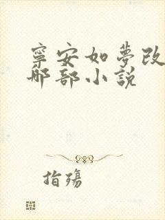 宁安如梦改编自哪部小说