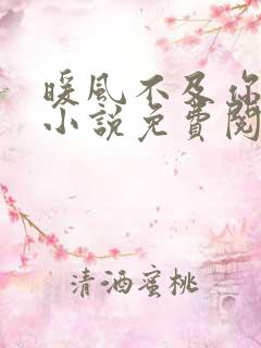 暖风不及你情深小说免费阅读免费