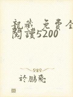 龙藏 免费全文阅读5200