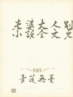 老婆大人别想逃小说全文免费阅读