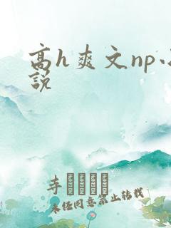 高h爽文np小说