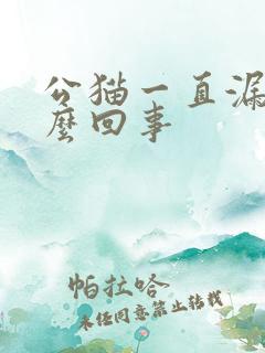 公猫一直漏尿怎么回事