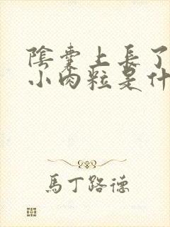 阴囊上长了一个小肉粒是什么