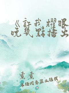 《许我耀眼》每晚几点播出