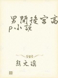 男开后宫高hnp小说
