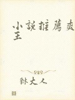 小说推荐爽文女主