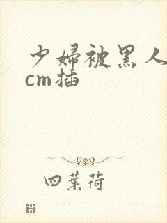 少妇被黑人30cm插