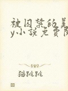 被囚禁的美人by小说免费阅读