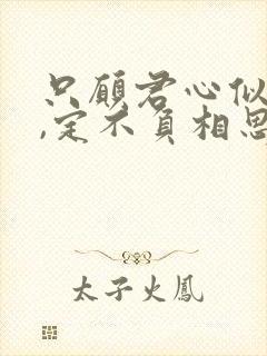 只愿君心似我心,定不负相思意怎么回复