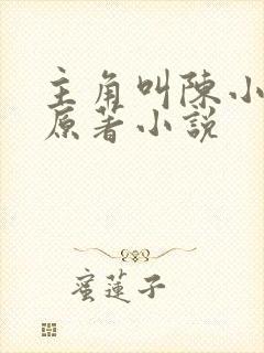 主角叫陈小贰的原著小说