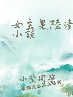 女主是陆清瑶的小说
