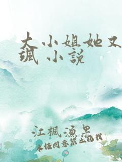大小姐她又美又飒 小说