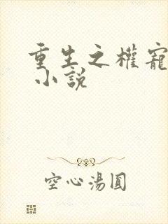 重生之权宠狂妻 小说