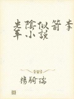 光阴似箭李艳傅平小说