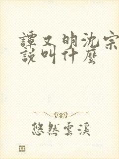 谭又明沈宗年小说叫什么