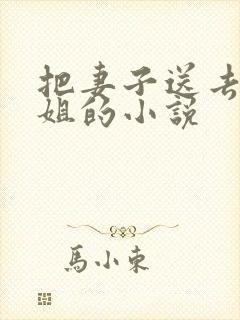 把妻子送去当小姐的小说