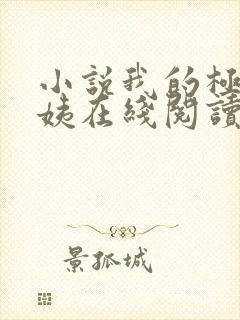 小说我的极品小姨在线阅读