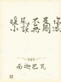 暖风不及你情深小说无删减正版在线阅读