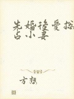 先婚后爱总裁独占小妻