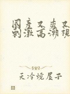 国产又爽又黄又刺激高潮视频