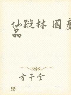 仙踪林 国产精品