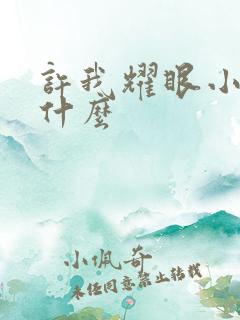 许我耀眼小说叫什么