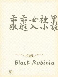 乖乖女被黑人巨粗进入小说