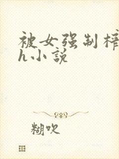 被女强制榨精的h小说