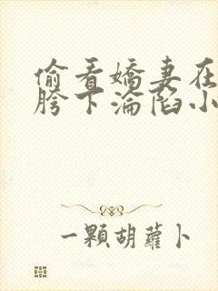 偷看娇妻在别人胯下沦陷小说