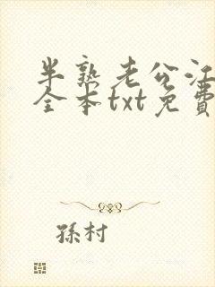 半熟老公江辰烨全本txt免费阅读